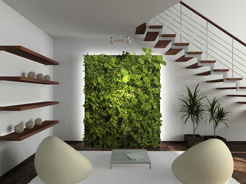 The Prototype - DIY Living Green Wall