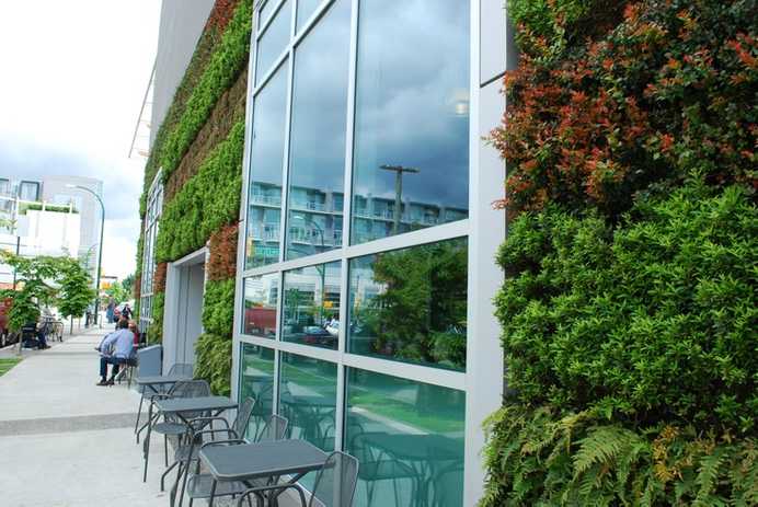 Green wall example 4