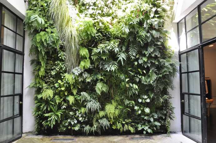Green wall example 1
