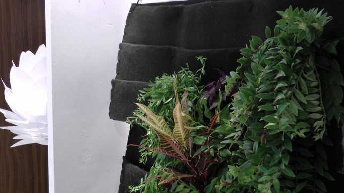 Hang the poaches on the wall